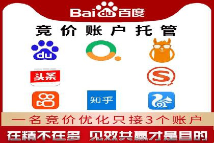 揭秘百度竞价代理：实战案例分析